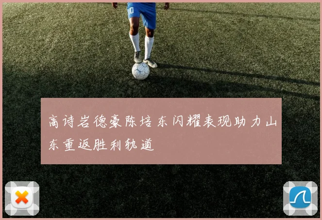高诗岩德豪陈培东闪耀表现助力山东重返胜利轨道